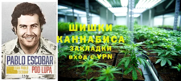 гидра Армянск