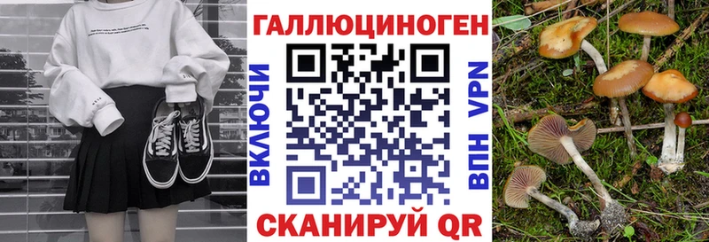 Псилоцибиновые грибы Psilocybe Ишимбай